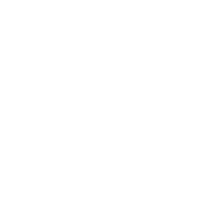 4.9/5